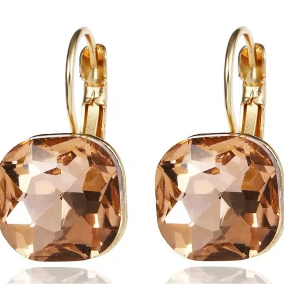 Jewelry - NEW Elegant Gold and Brown Crystal Earrings